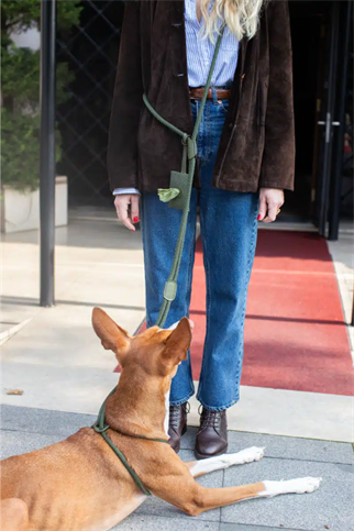 Zoe Pet Atelier All In One Köpek Göğüs Tasması ve Gezdirme Kayışı Seti Haki Yeşil