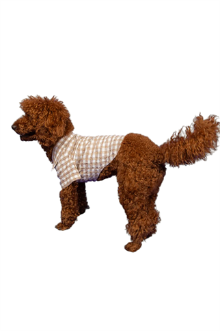 Goodboi Pötikareli Kahverengi Gofre Gömlek