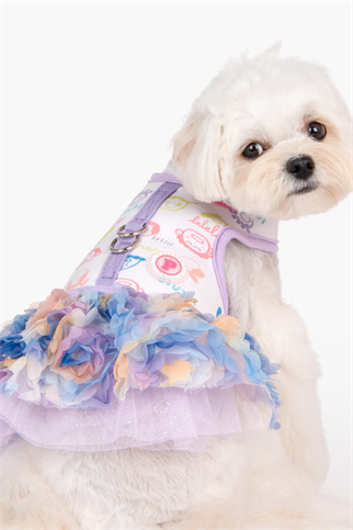 Pinkaholic New York Berthe Elbise Göğüs Tasması Mor