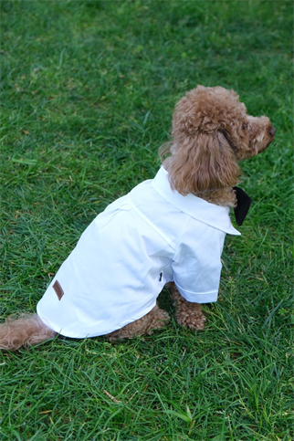 Doredog Beyaz Gömlek Damatlık Takım 