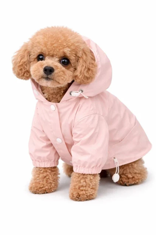 Dolcepets Köpek Yağmurluk Pembe