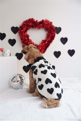 Lolidogs Köpek Ceketi | Noir