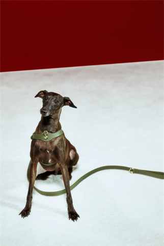 Coronet Charm Tasma Aksesuarı