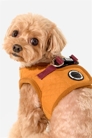 Irvin Harness B Köpek Göğüs Tasması Hardal Rengi 