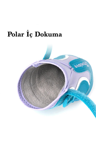 Truelove Köpek Ayakkabısı Mavi-Lila