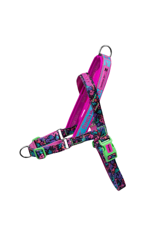 Zee.Dog Reebok x Zee.Dog Aerobic Softer Walk Göğüs Tasması