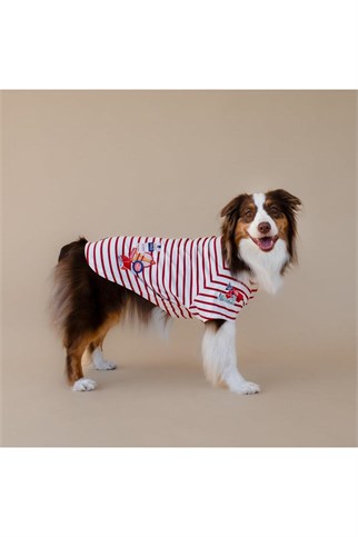 Asky&Erd Bonjour Paris Köpek T-Shirt | Rouge Breton