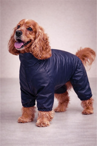 Alphadog Design Coverall Berry Polarlı Köpek Tulum Yağmurluk