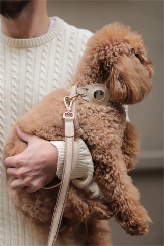 Pamuk&Deri Bej Gezdirme Kayışı
