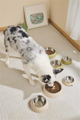 M-PETS ECO BAMBOO MAMA KABI OLİVE