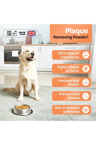 Our Dogs Life Köpekler İçin Plak Temizleyicisi