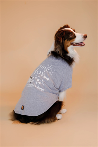 Asky&Erd Chasing Joy | Urban Grey Köpek Tişört