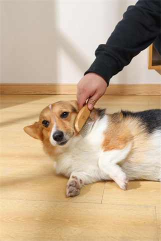 M-Pets Bamboo Köpek - Kedi Tarak