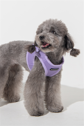 Puppia Soft Vest Köpek Yelek Tasma Lila