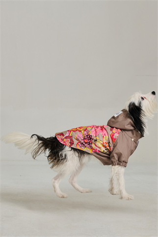 Godoist Köpek Yağmurluk - Raincoat Series - Marji