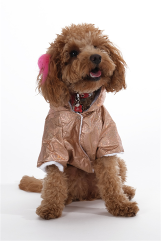 Doredog parlak altın içi peluş rüzgarlık