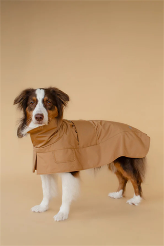 Asky&Erd Trenchcoat Signature Beige