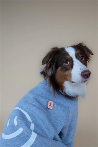 Asky&Erd Love Paws Sweatshirt | Heather Grey