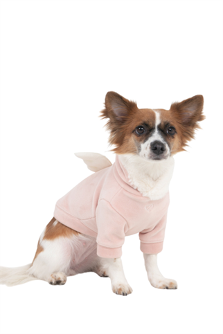 Pinkaholic Peliah Köpek Sweatshirtü Pembe