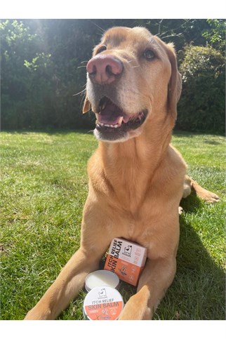 Our Dogs Life Köpekler İçin Kaşıntı Giderici Merhem