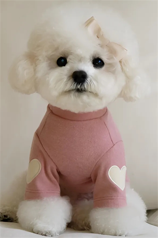 DolcePets Kalpli Kazak/Pembe