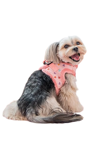 Pinkaholic New York Merry Pinka Köpek Göğüs Tasması - Pembe