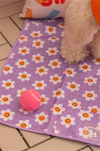 Lolidogs Köpek Travel Mat Daisy