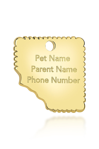 I Only Eat Cookies Charm Tasma Aksesuarı