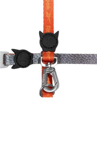 Zee.Dog Reebok x Zee.Dog Suede Kedi Tasması ve Gezdirme Seti