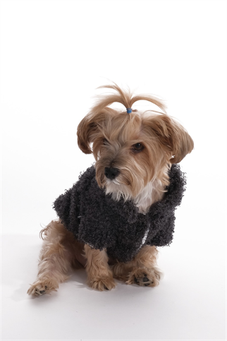 Doredog Kıvırcık Peluş Gri