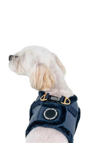 Puppia Wynter Harness B Köpek Göğüs Tasması - Lacivert
