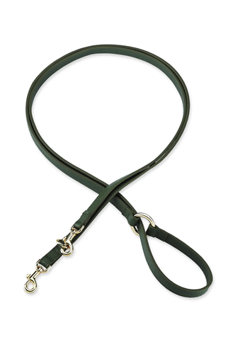 Monarch Viridis Köpek Gezdirme Kayışı