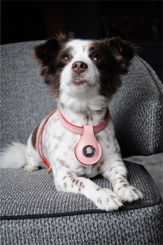 Zoe Pet Atelier Airtag Kılıfı