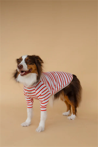 Asky&Erd Turtleneck Tshirt | Tangerine Stripe