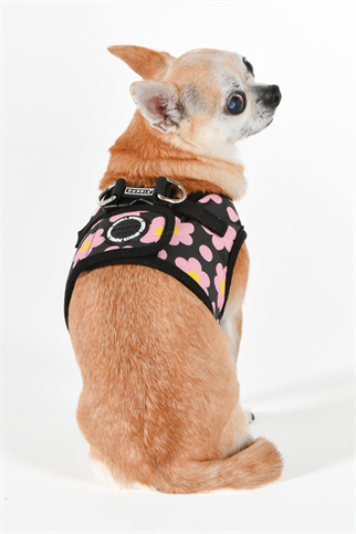 Bacopas Harness B Köpek Göğüs Tasması Siyah  