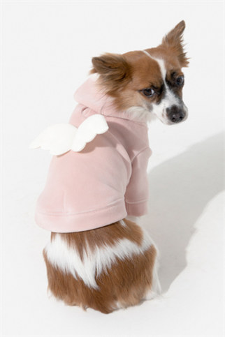 Pinkaholic Peliah Köpek Sweatshirtü Pembe