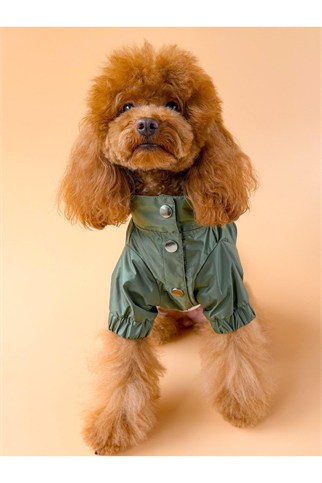 Zoë Pet Atelier × Lolidogs Köpek Yağmurluğu Army