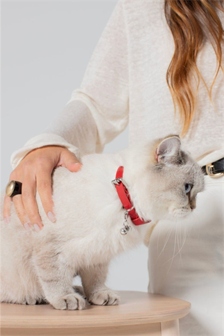 Zoe Pet Atelier Kedi Boyun Tasması Kırmızı