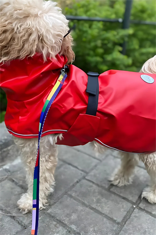 Fluffy Buddies Kırmızı Yağmurluk - M