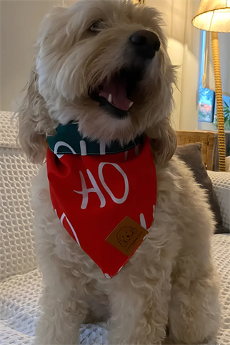 Fluffy Buddies Store Hohoho Yılbaşı Bandanası