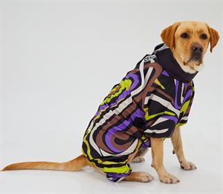 Godoist Jumpsuit Series - Iconic Köpek Tulum Yağmurluk