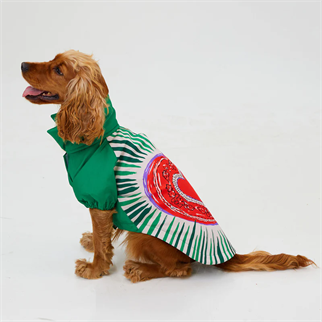 Godoist Raincoat Series Milano Köpek Yağmurluğu