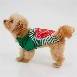 Godoist Raincoat Series Milano Köpek Yağmurluğu