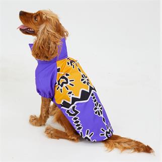 Godoist Raincoat Series Patbo Köpek Yağmurluğu