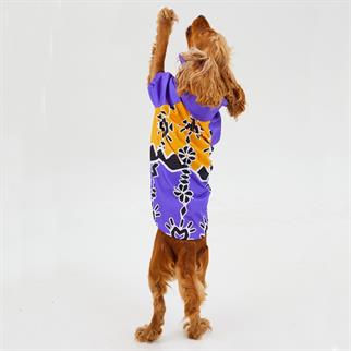 Godoist Raincoat Series Patbo Köpek Yağmurluğu