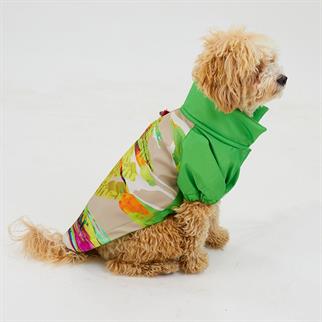 Godoist Raincoat Series Together Köpek Yağmurluğu