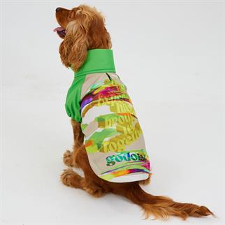 Godoist Raincoat Series Together Köpek Yağmurluğu