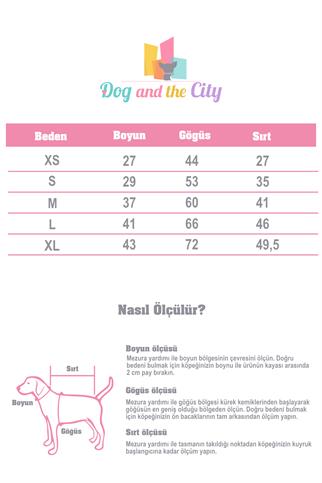 Godoist Raincoat Series-Lil Sharkie