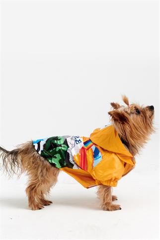 Godoist Raincoat Series-Smile