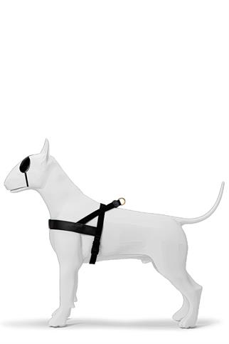 Gold Caviar Norwegian Type Breast Bowl Morso